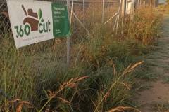 εικόνα_Viber_2024-01-08_12-42-18-010