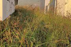 εικόνα_Viber_2024-01-08_12-42-20-645