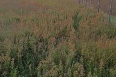 εικόνα_Viber_2024-01-08_12-42-30-428