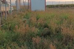 εικόνα_Viber_2024-01-08_12-42-33-691