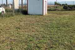 εικόνα_Viber_2024-01-08_12-42-35-092