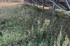 εικόνα_Viber_2024-01-08_12-42-36-604