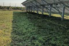 εικόνα_Viber_2024-01-08_12-42-38-020