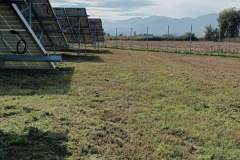 εικόνα_Viber_2024-01-08_12-42-42-645