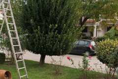 εικόνα_Viber_2024-01-08_12-42-46-960