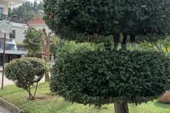 εικόνα_Viber_2024-01-08_12-42-49-563