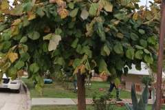 εικόνα_Viber_2024-01-08_12-42-51-366