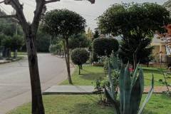 εικόνα_Viber_2024-01-08_12-42-53-709