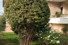 εικόνα_Viber_2024-01-08_12-42-55-225