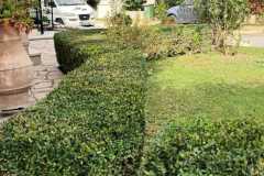 εικόνα_Viber_2024-01-08_12-44-48-807