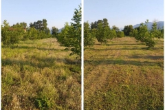 107000115_297702458039277_6106016159601160982_n