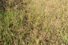 WhatsApp-Image-2020-09-22-at-7.11.27-PM