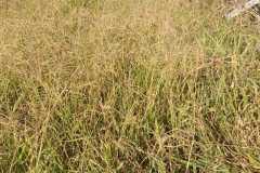 WhatsApp-Image-2020-09-22-at-7.11.56-PM