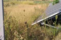 WhatsApp-Image-2020-09-22-at-7.12.24-PM